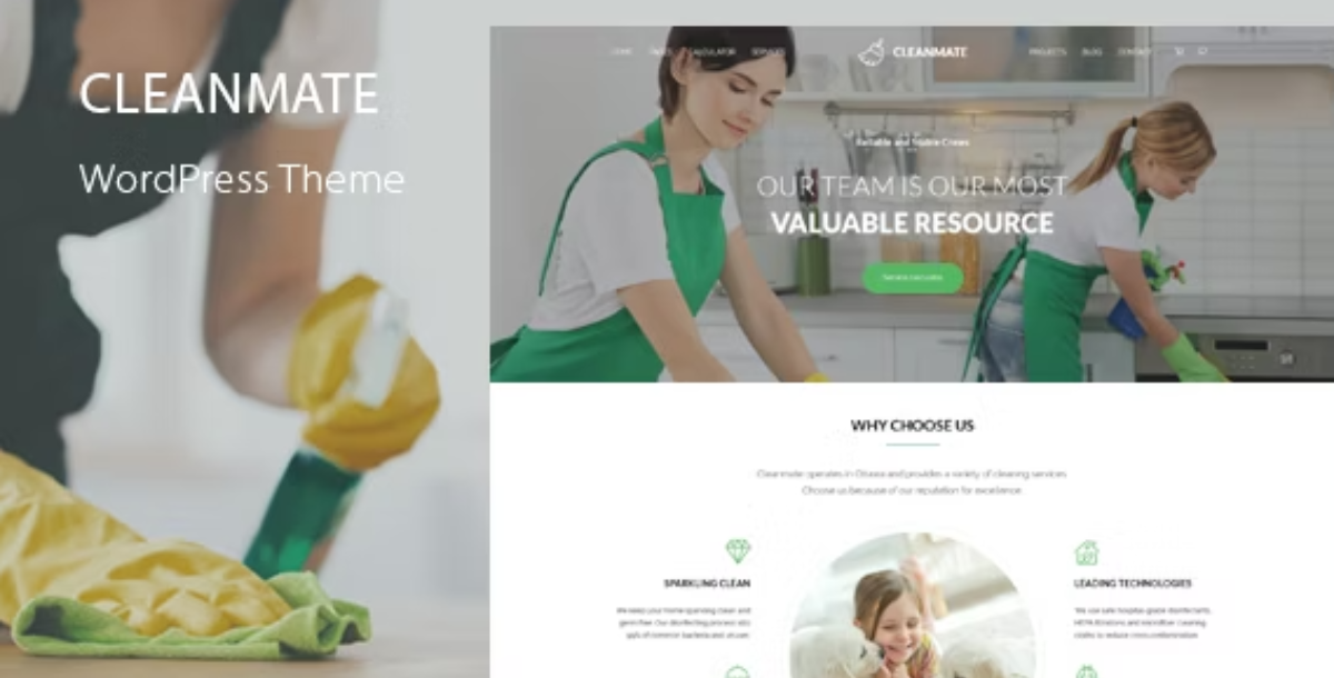 CleanMate - Cleaning WordPress Theme