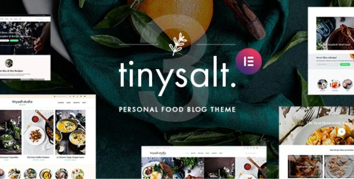 TinySalt - Personal Food Blog WordPress Theme